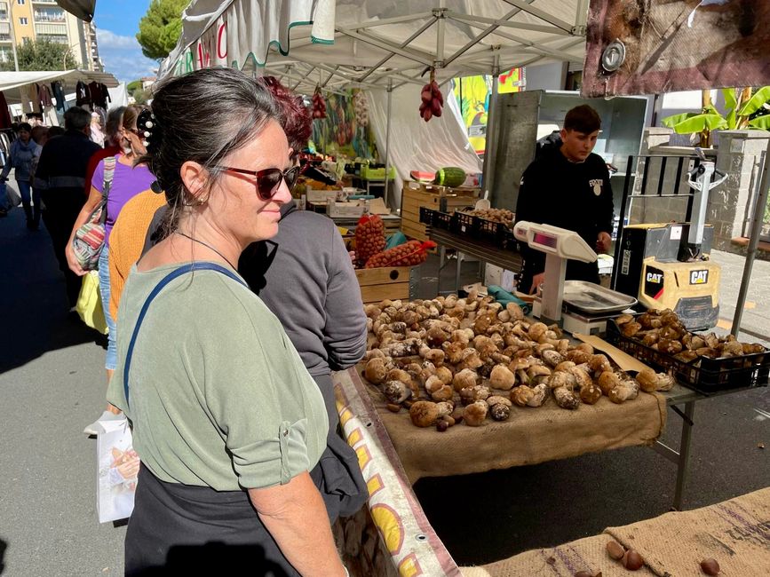 Icke vor einem Tisch voller Steinpilze.