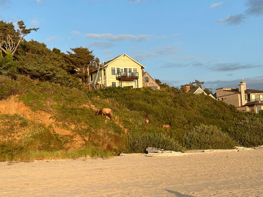 Oregon Pacific Beach