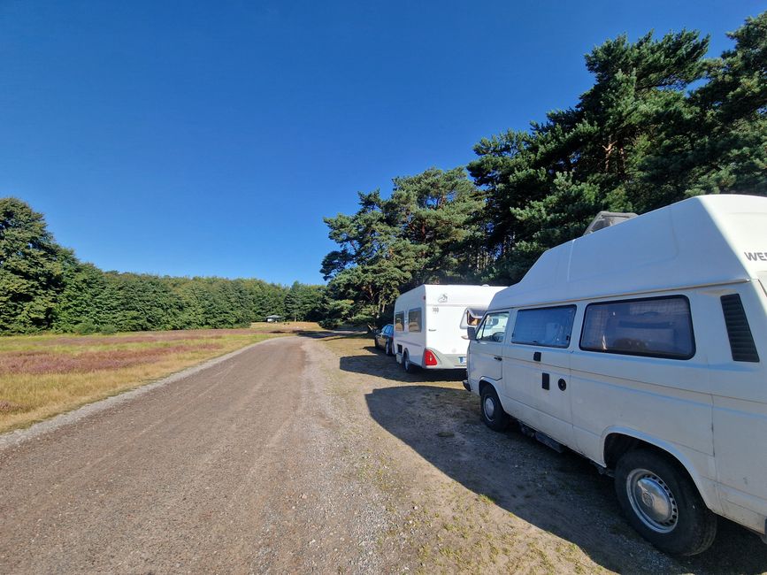 Suède 2025 - 1er jour de la péninsule de Falsterbo