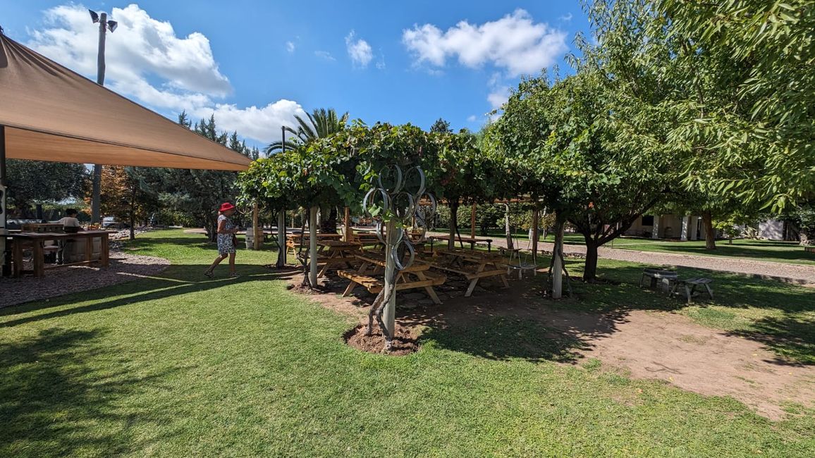 Région viticole Maipu/ Mendoza