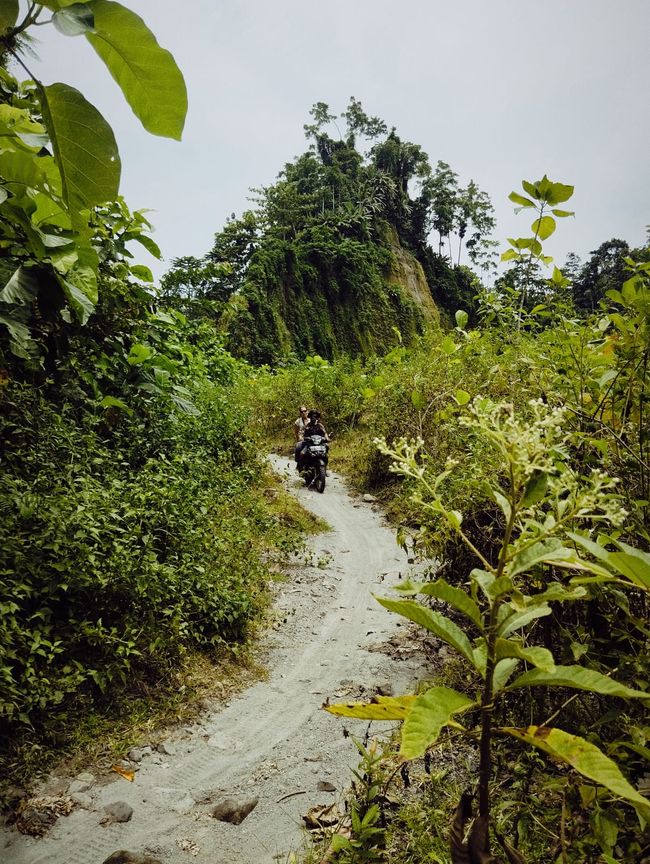 Pulau Unauna