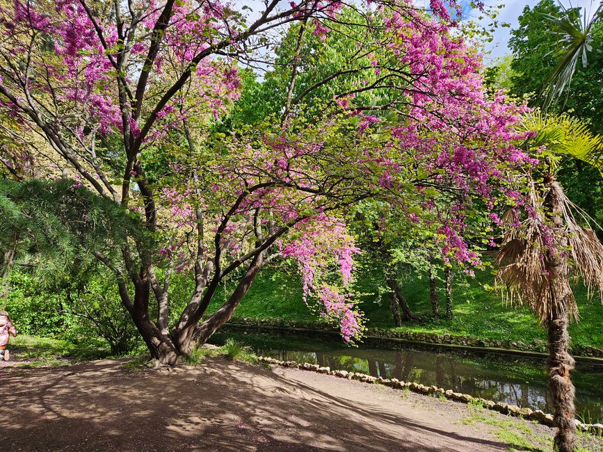 Parco del Retiro