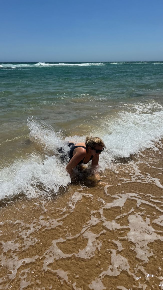 De la safari al mar
