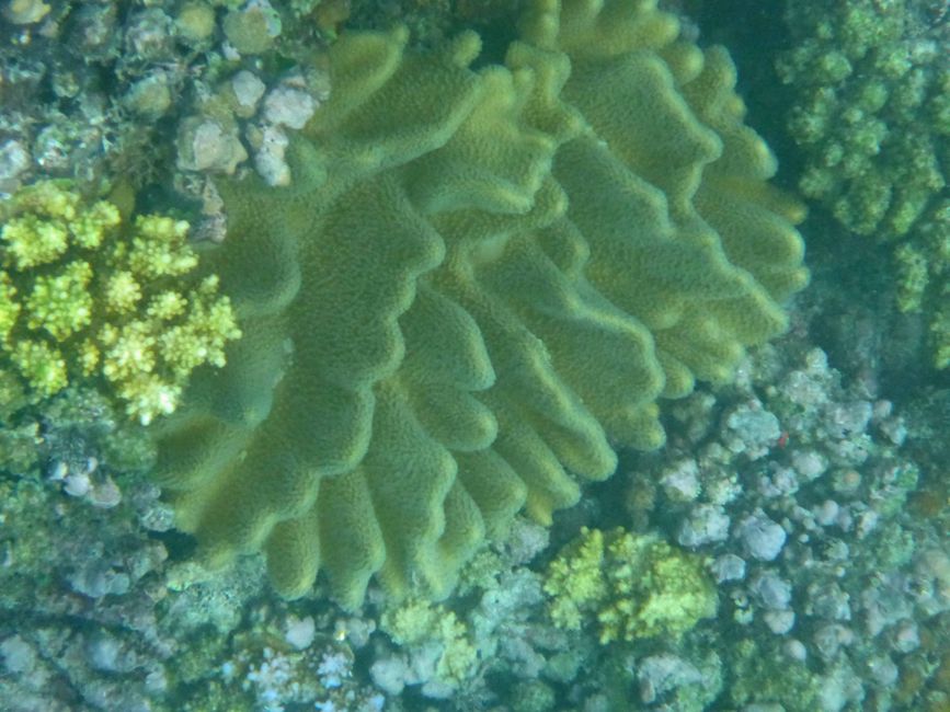 Yasawa-Inseln, Fidschi