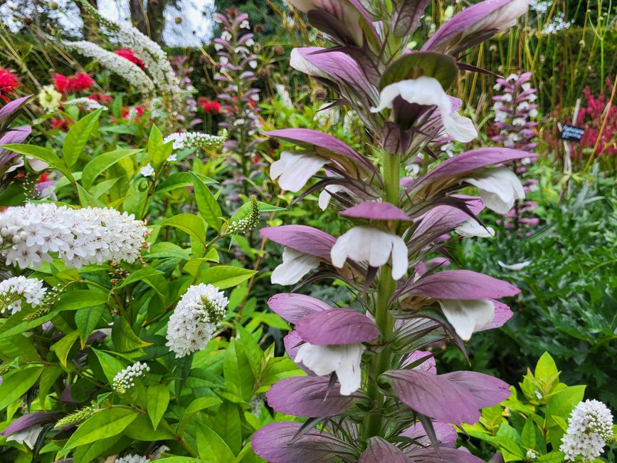 Brodsworth Gardens