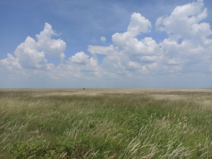 El Parque Nacional Etosha