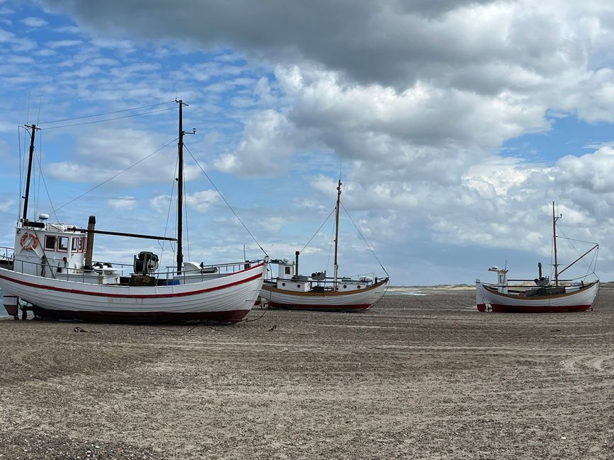 Dänemark Nordjütland Jammerbucht Svinklov