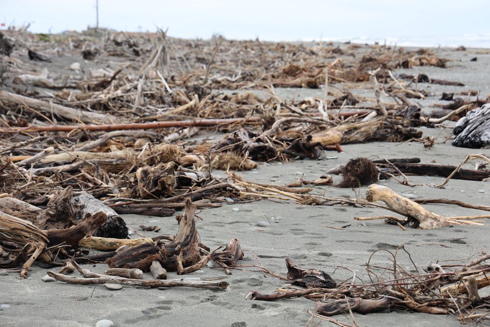An der West Coast weiter Richtung Süden