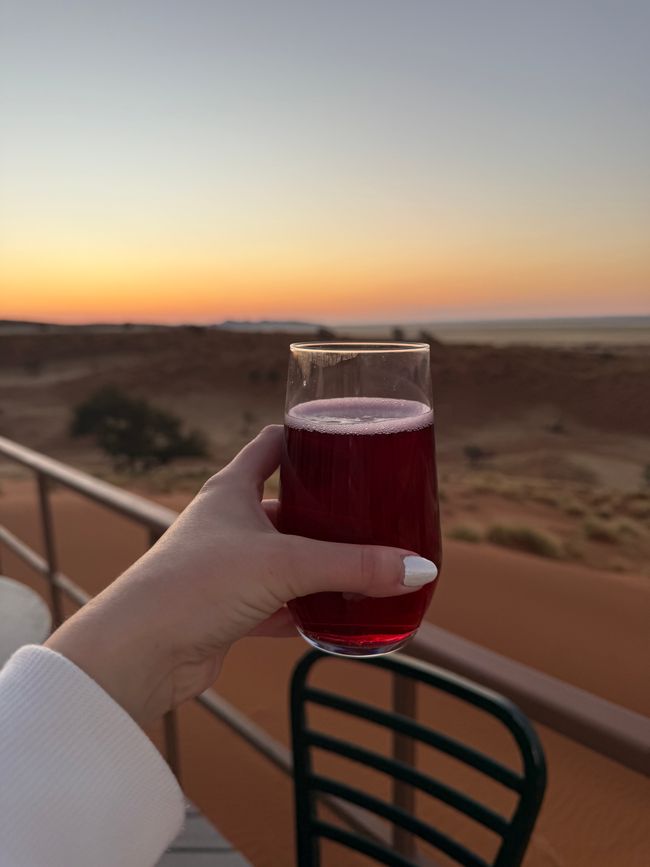 Namibia 2k25 🦓🏜️🐘