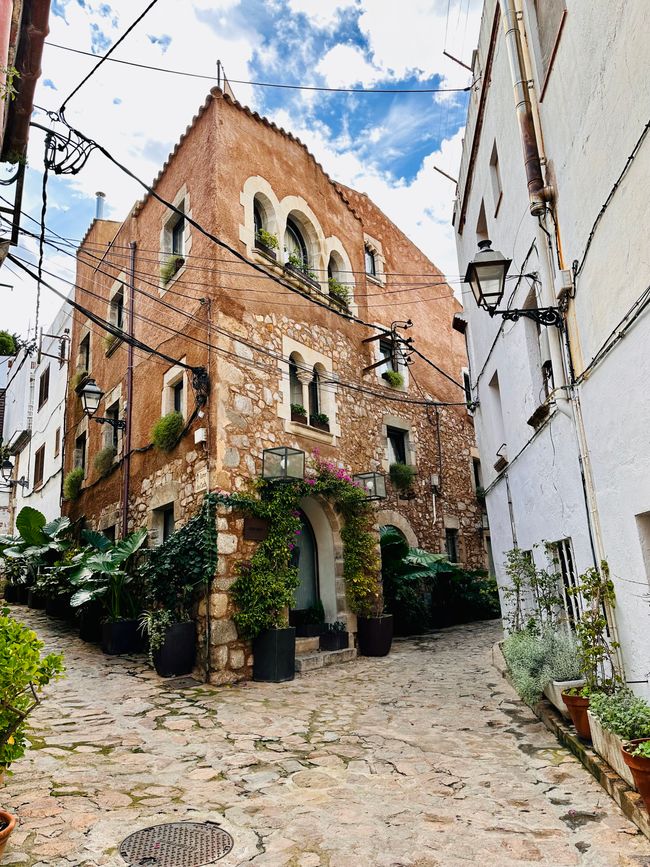 Estamos bien, ¡gracias! 
Carretera costera de Sant Feliu de Guíxols a Tossa de Mar