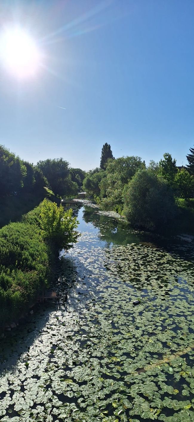La Petite Saône