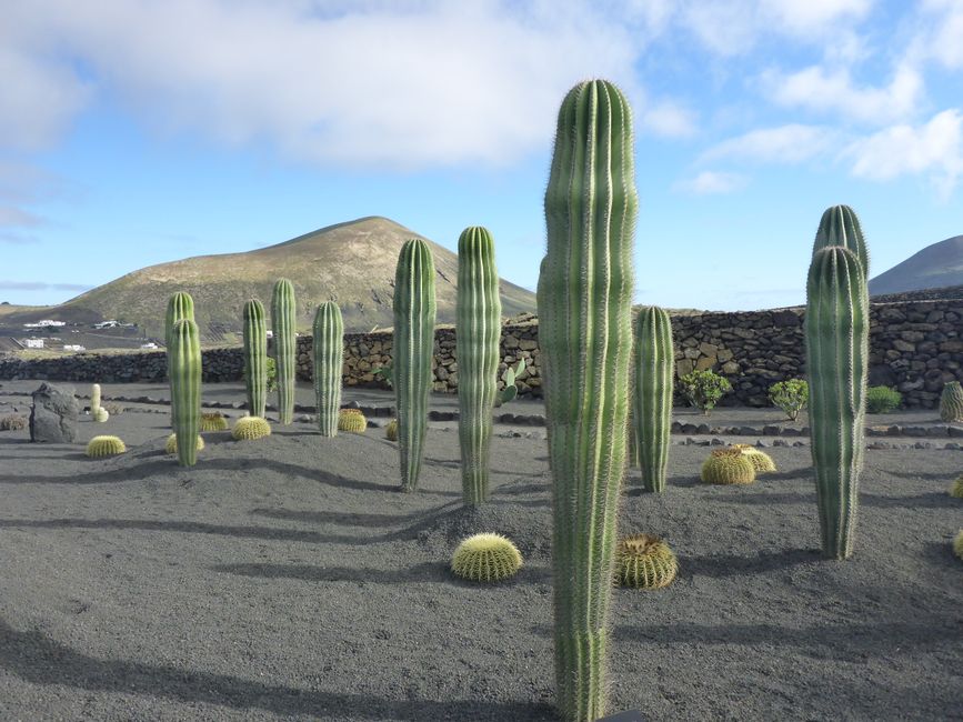 Lanzarote