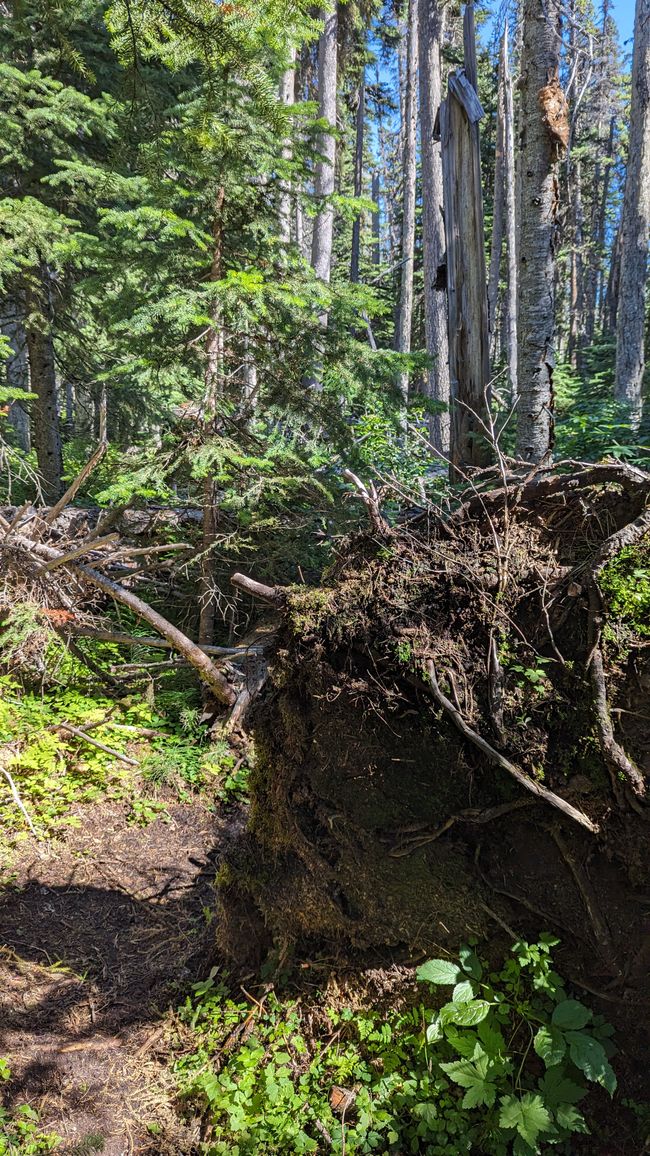 Upper Cascade Falls Trail