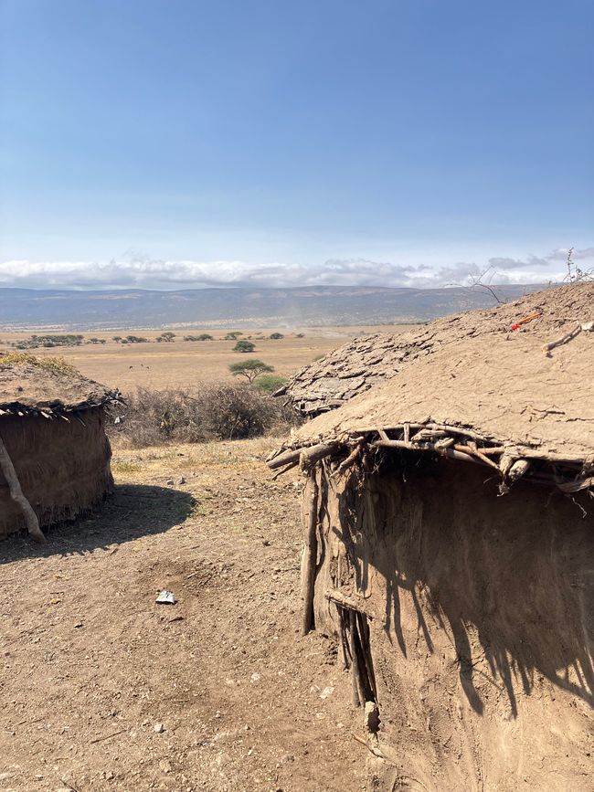 Il Cratere di Ngorongoro