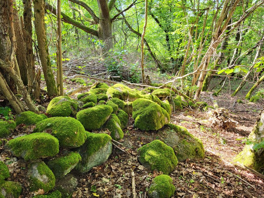 Bastoncini di zucchero, rovine di castelli e escursioni sul Lago Vätter - in viaggio nel sud della Svezia