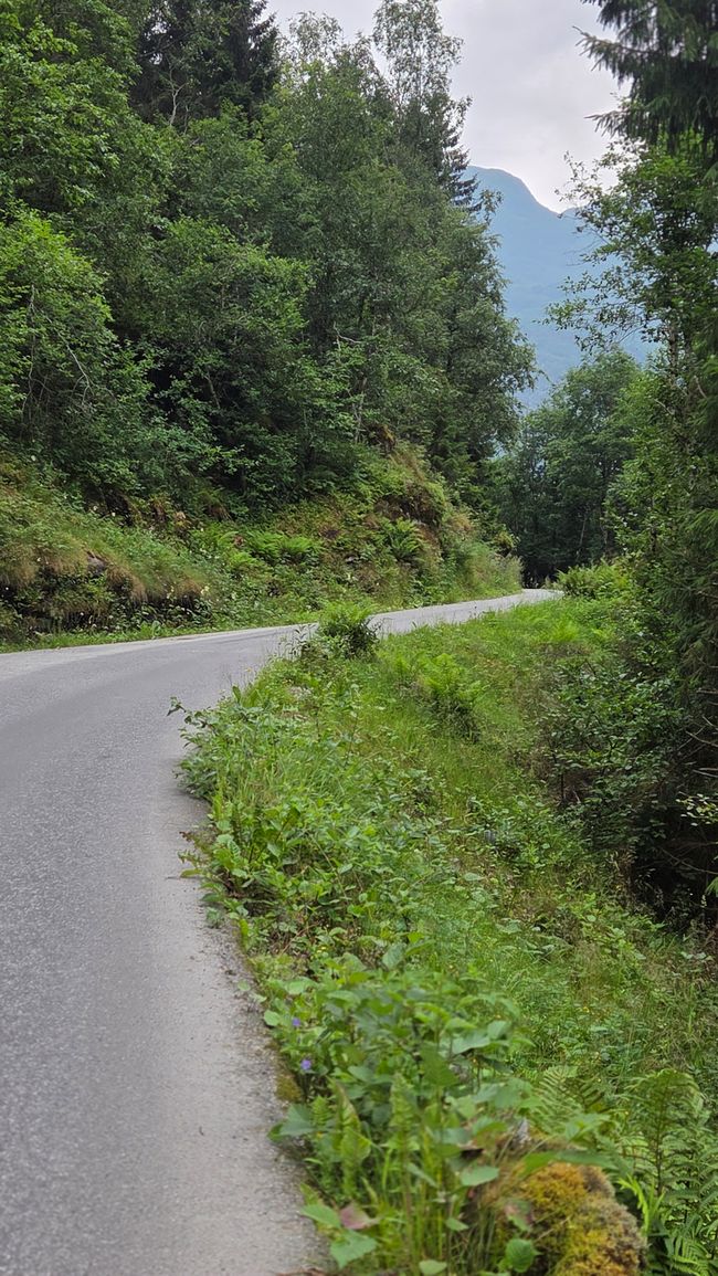 Rallarvegen Etappe 2 Finse - Flam