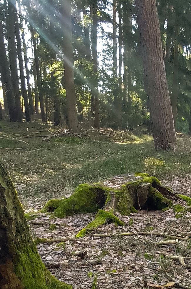 Auf den Spuren von echter Nähe... Was wählst Du? Exkurs zu Körpern und Gefühlen