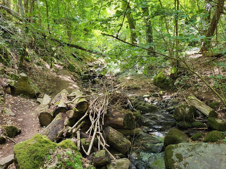 Sentier de l’APAGE