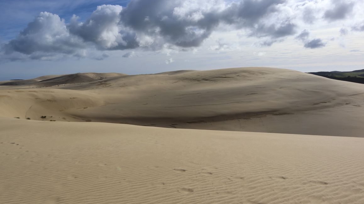 Te Paki Giant Sand Dunes