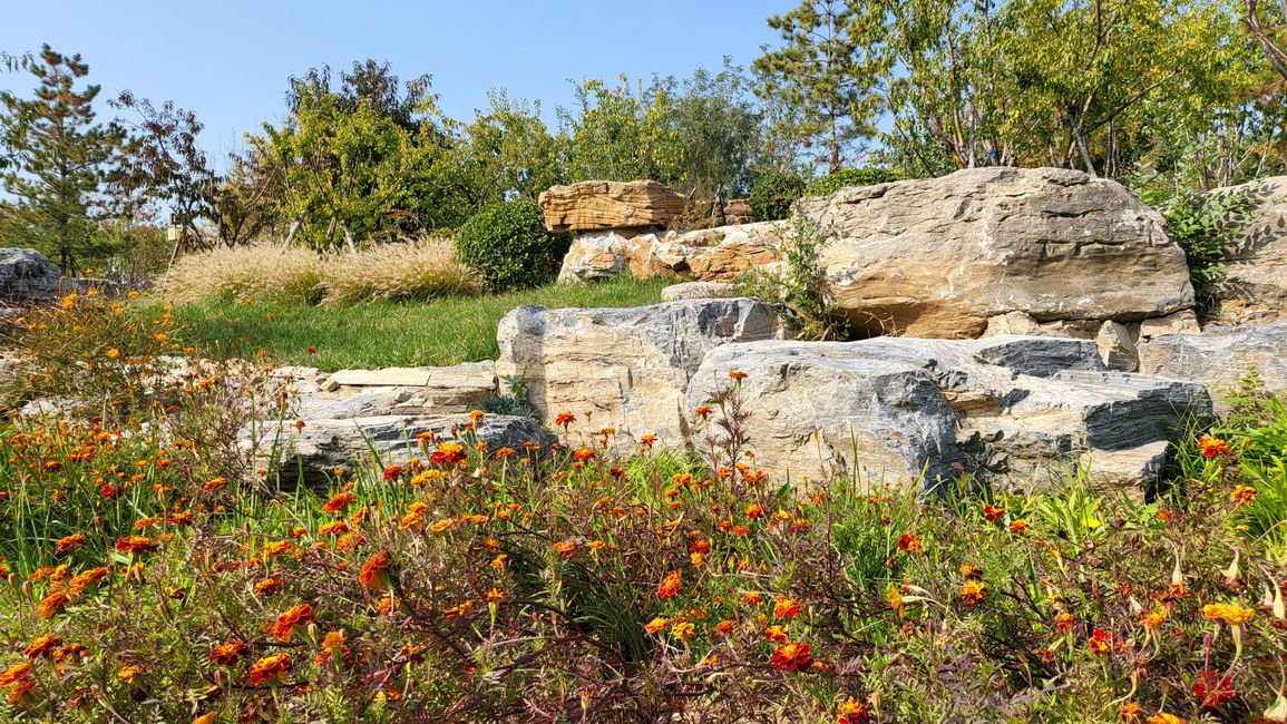 Exposición de Jardín Cangzhou