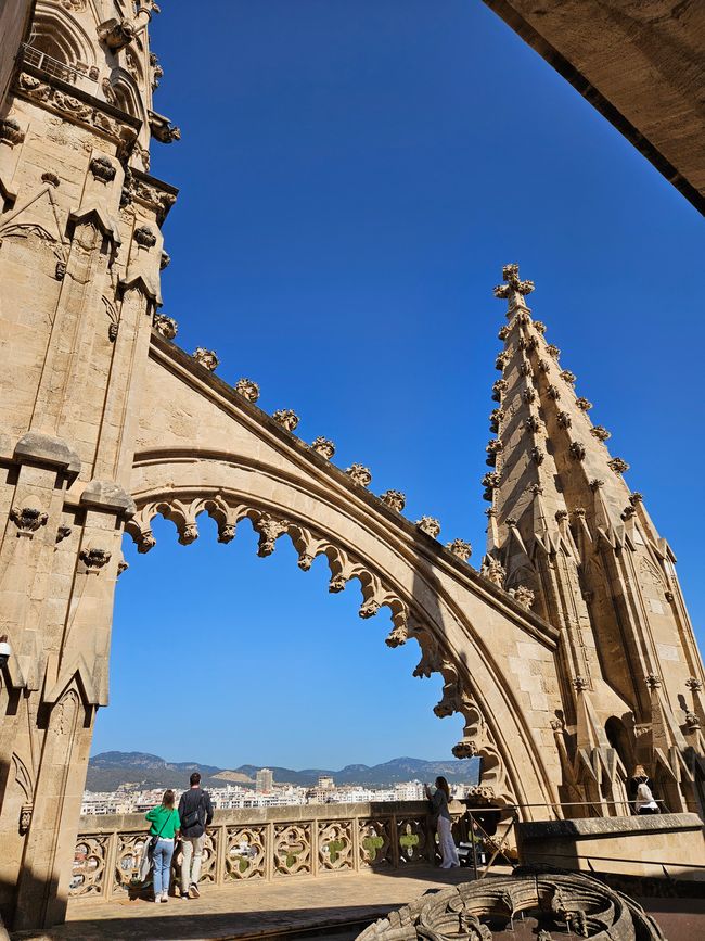 Terrazza panoramica della cattedrale
