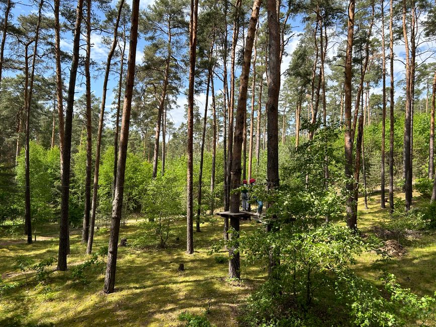 School trip to Petzow