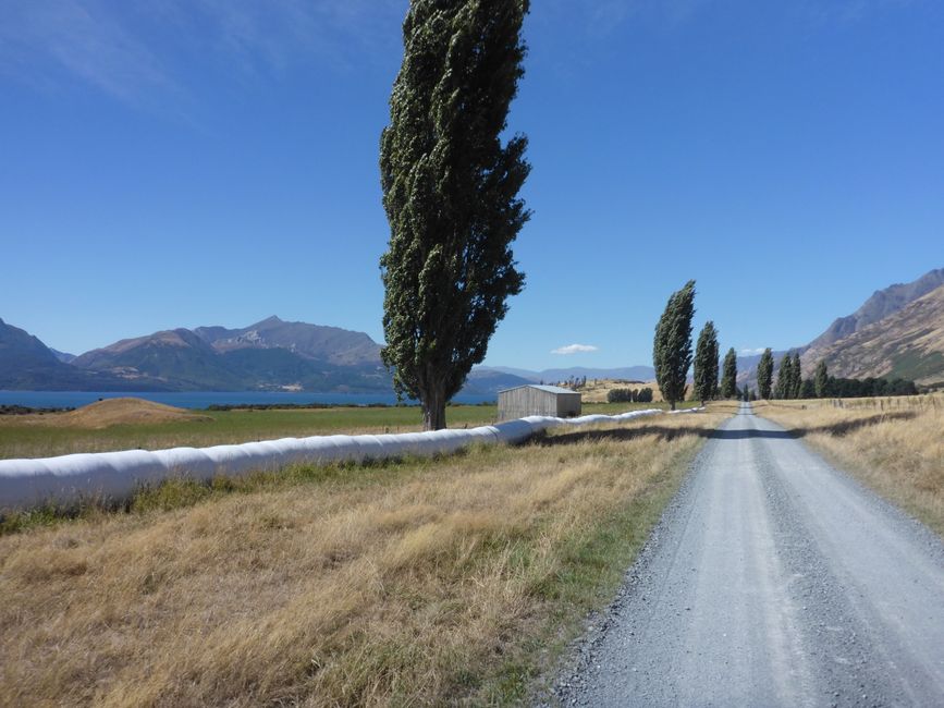 2025-02-19 Fjordland; NZL