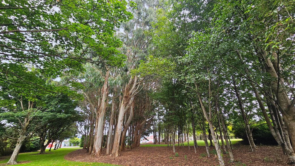 Clifden - Monkey Island - Riverton - Invercargill - Nugget Point