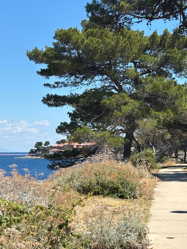 Impressions from the island of Lošinj