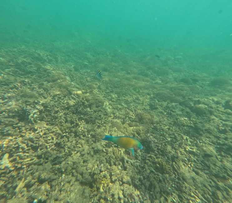 Etiqueta 17: Isla hopping frente a Lombok