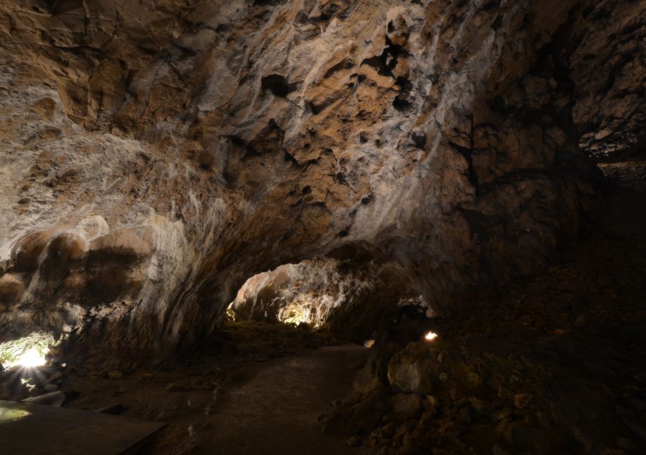 Fenêtres sur le passé - La grotte de Hohle