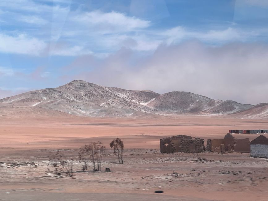 👷♂️Etiqueta 31 (7.11.) 🚌Viaje de Nasca a San Pedro de Atacama