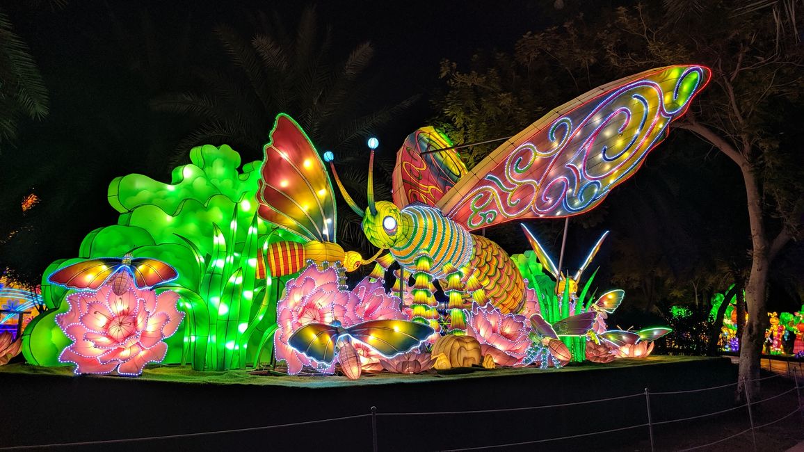 标签 11 (2019) 幻觉博物馆，迪拜框架，迪拜花园光彩与迪拜喷泉