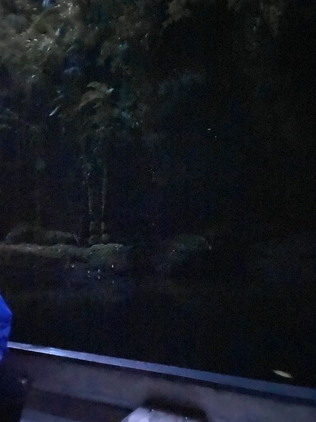 McLarren Falls - Glowworm Tour 