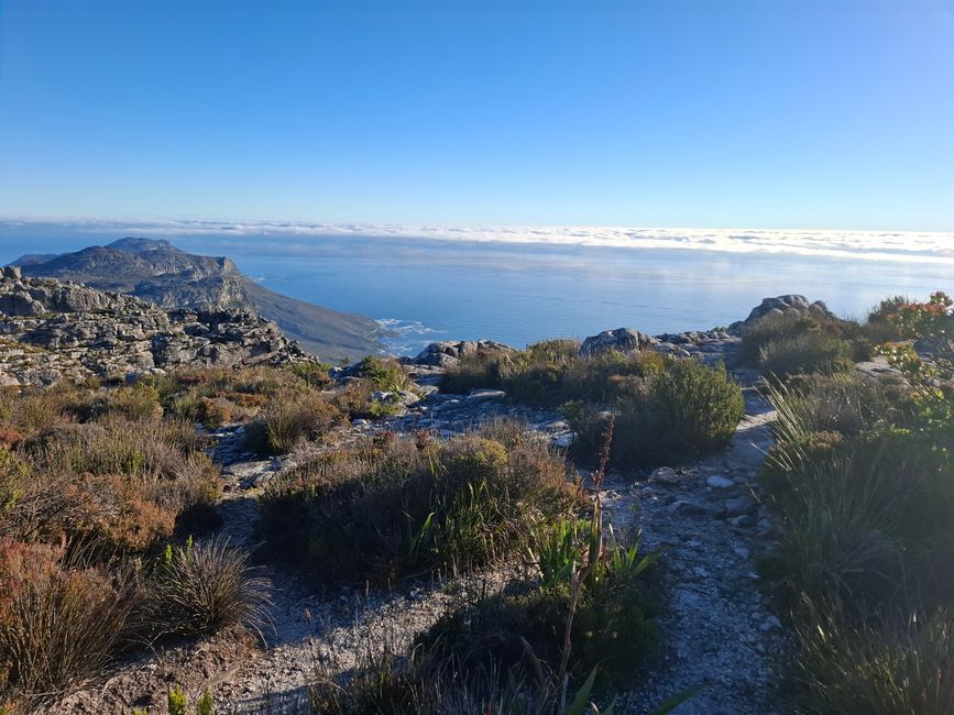 Caminata por la Montaña de la Mesa