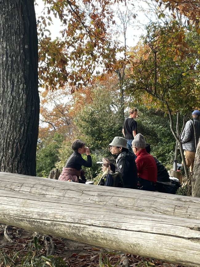 Picknick