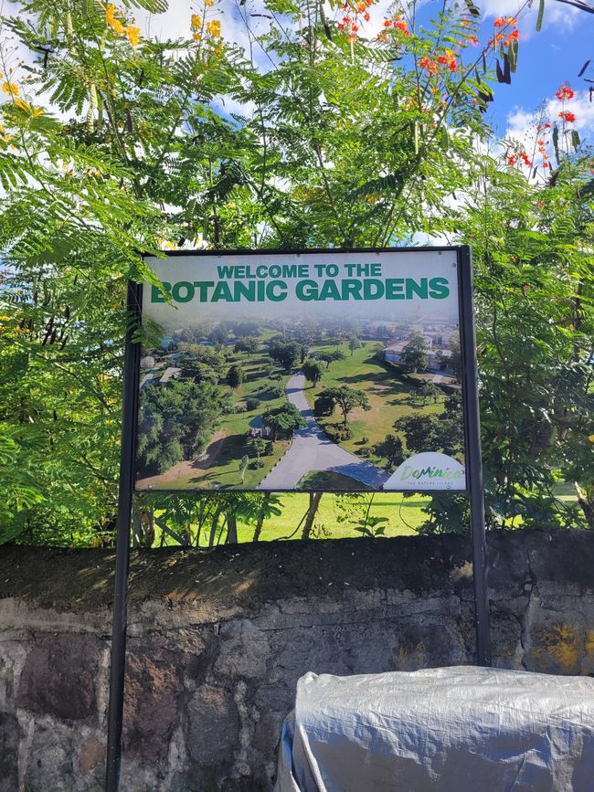 Tag 22 von 175: Kreuzfahrt rund um die Welt - Roseau/Dominica