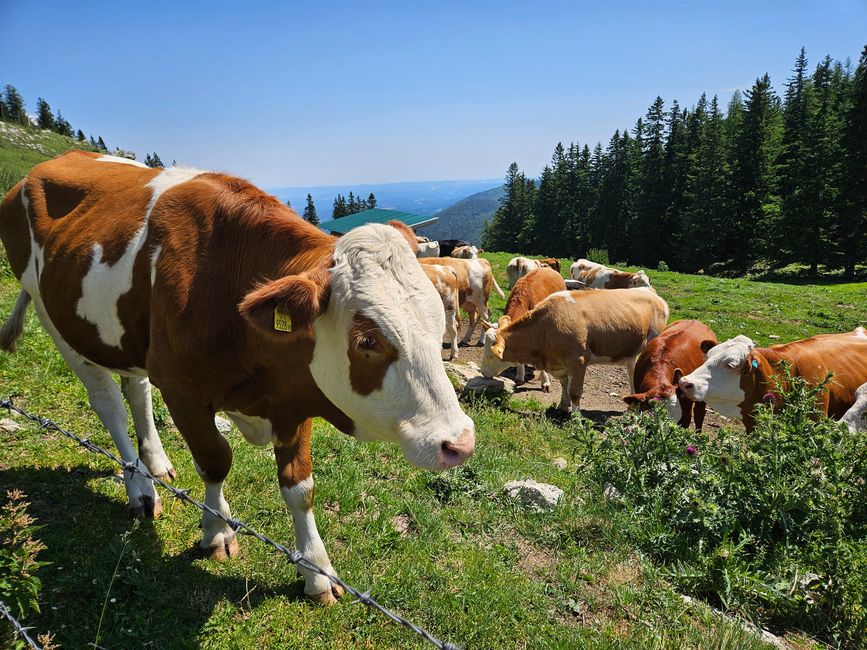 2025 - Luglio - Semmering
