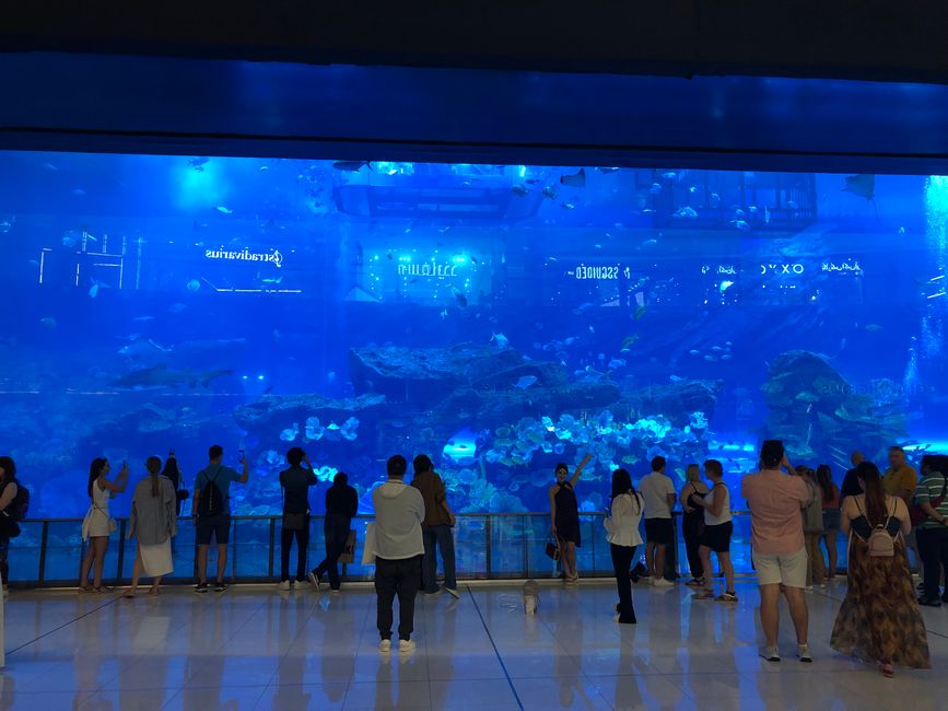 Tag 56 - Dubai - Dubai Mall - Burj Khalifa - Fontänenshow