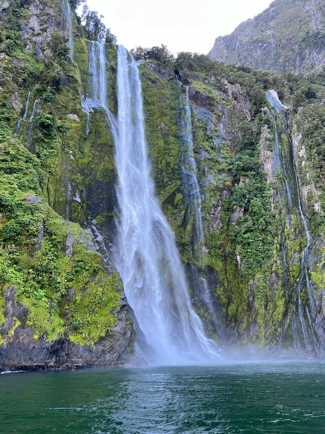 Wasserfall in Milford Sound