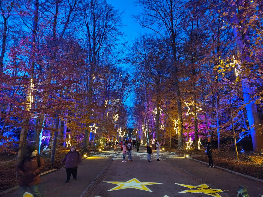 Christmas Garden