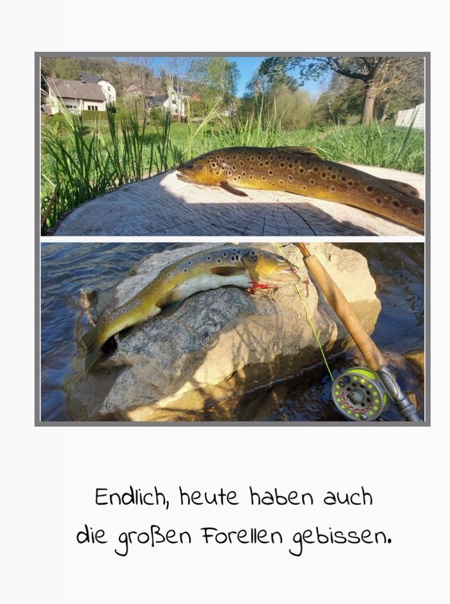 Not only fly fishing at the Kyll/Eifel