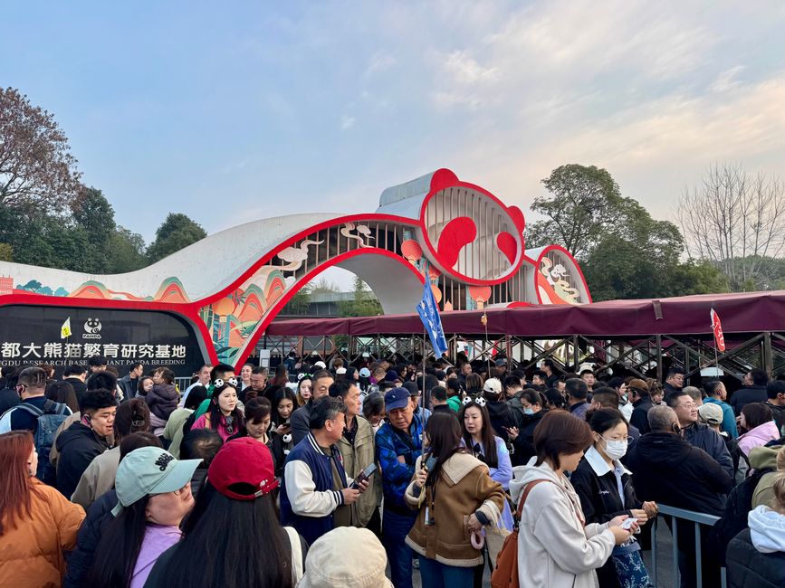 Part 2: Xi'an and Chengdu 🐼