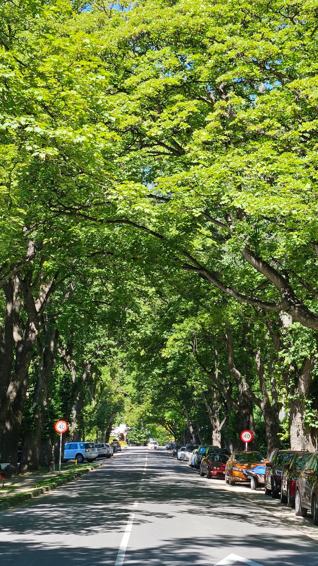 Arrowtown - Queenstown