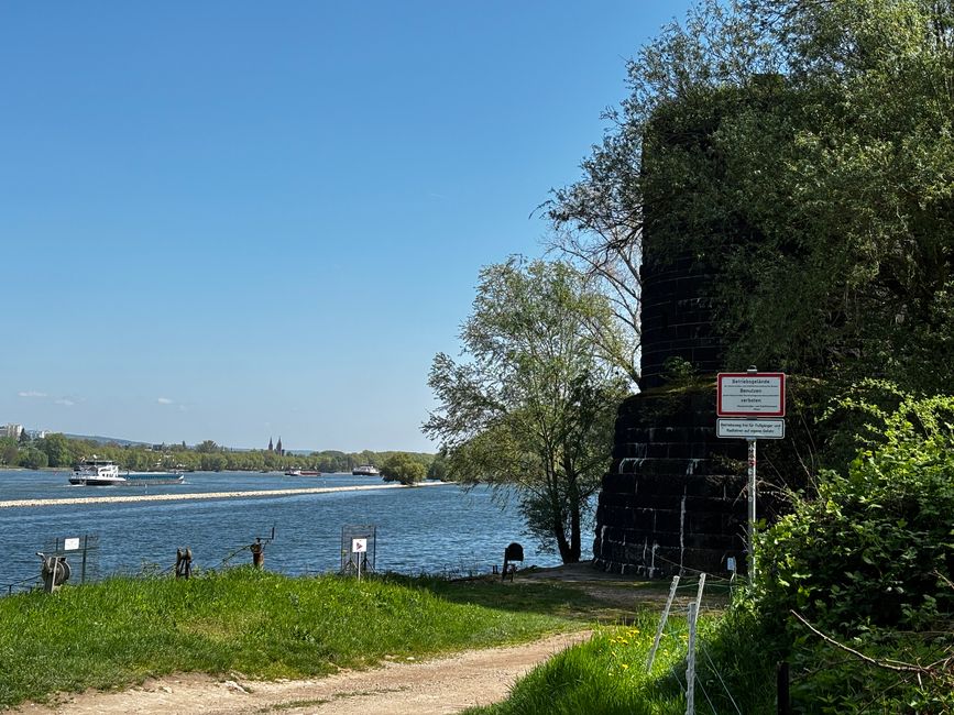 Ponte Hindenburg