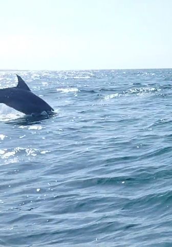Isola di Masirah