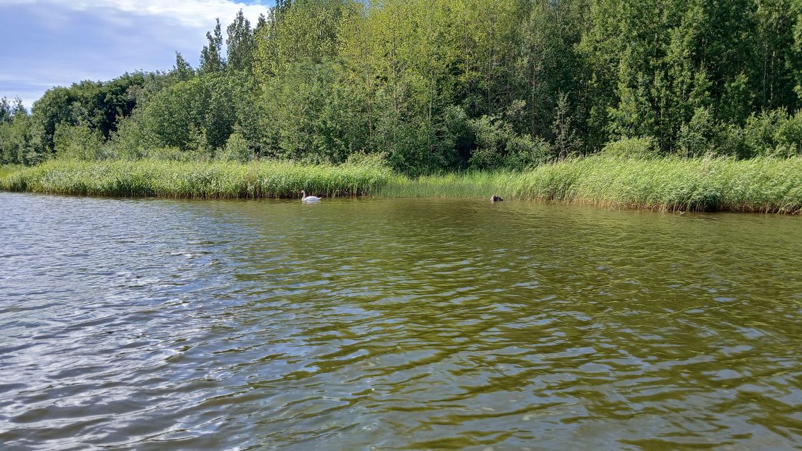 Tag 29 Wieder in Raahe