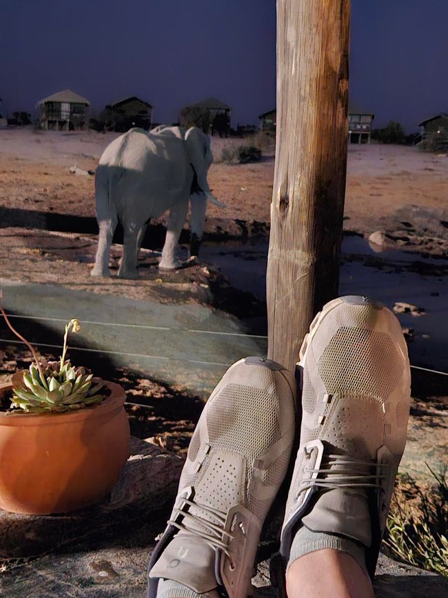 Elephant Sands: Stop-over auf dem Weg ins Okavangodelta