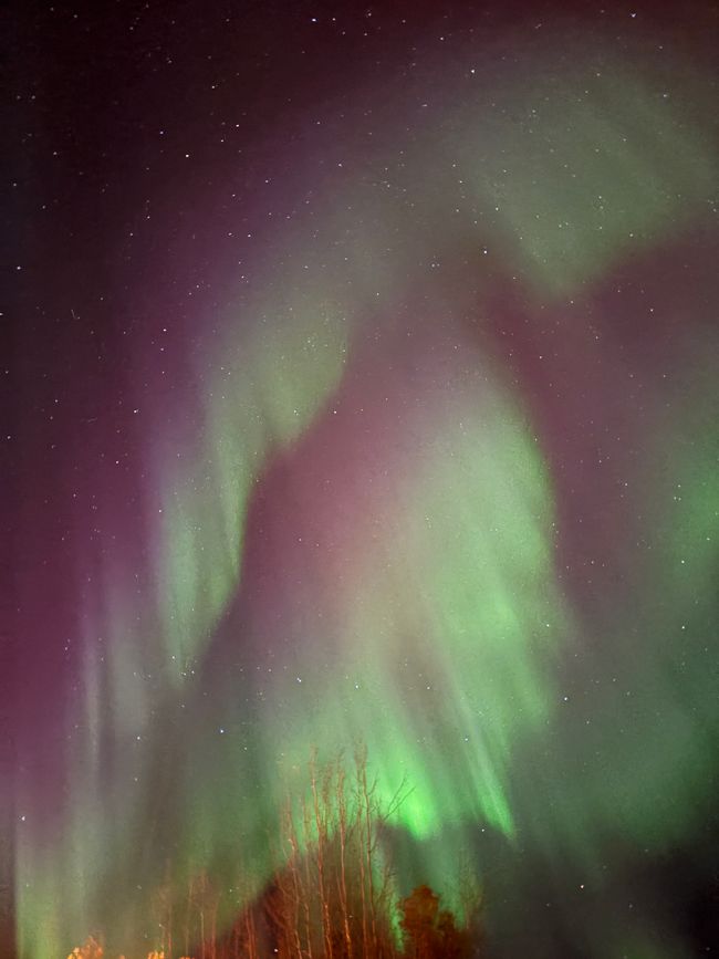 标签 7 - 🌌 北极光、颤抖的早晨与野牛 – 一天充满了加拿大的神奇 🇨🇦