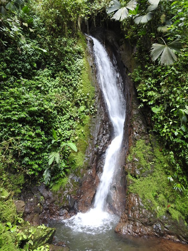 El arroyo que fluye